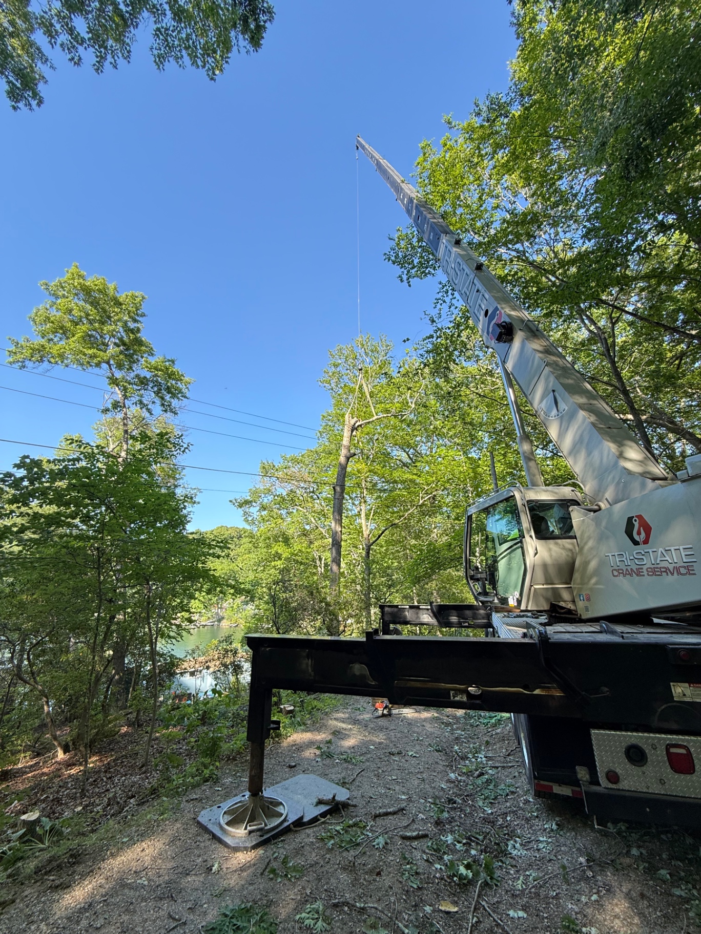 Tri-State crane lifting tree sections away from a lakeside property