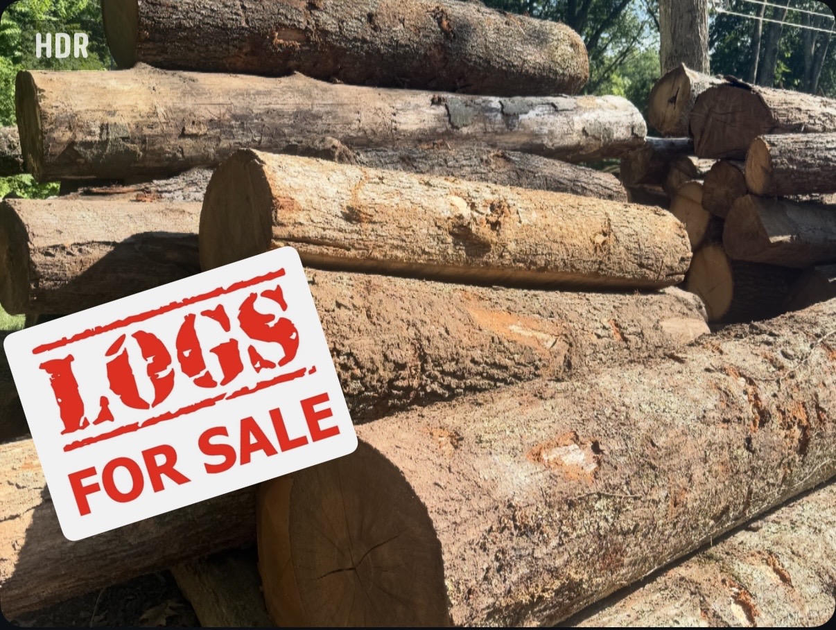 Log Length Wood